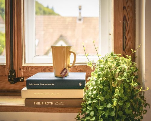drinking water near window in home office